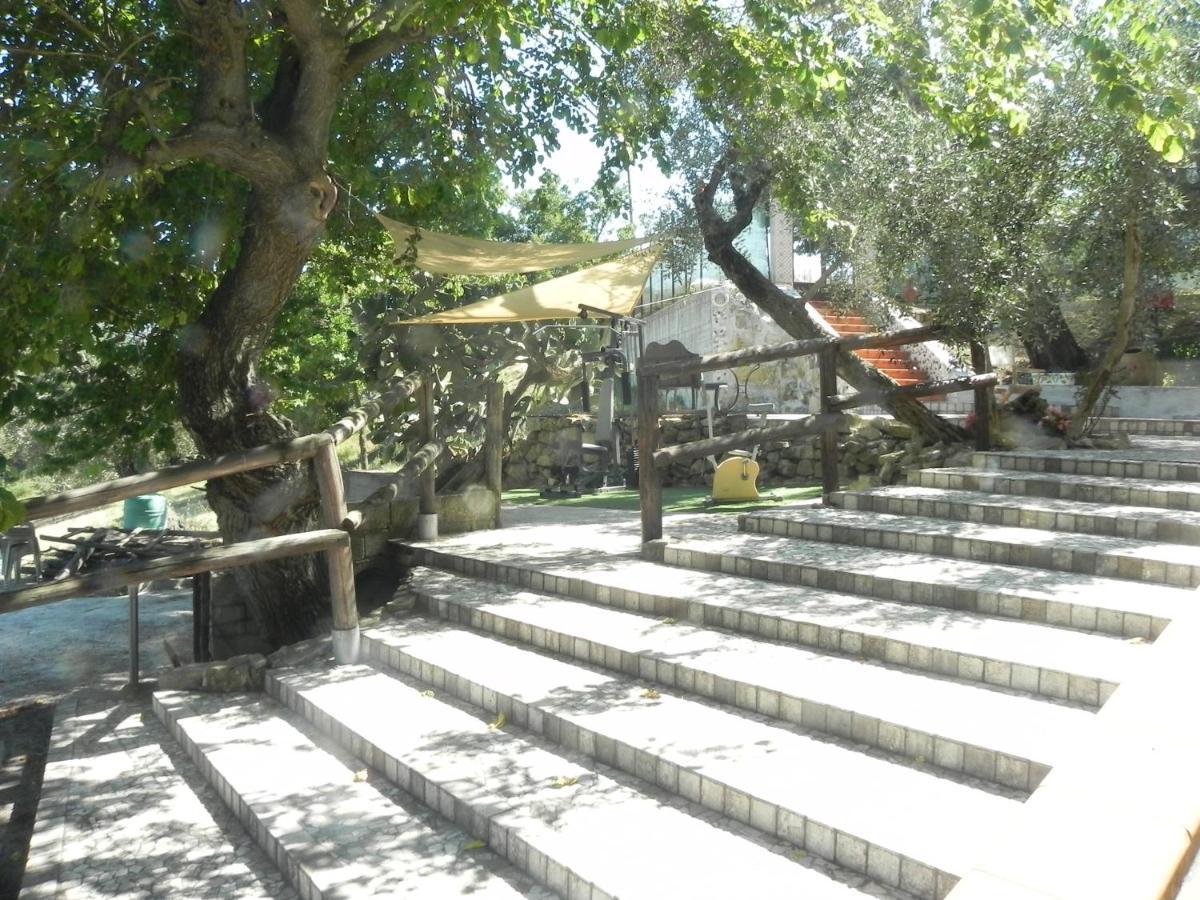Agriturismo B&B Il Rifugio Di Nino Contursi Bagian luar foto