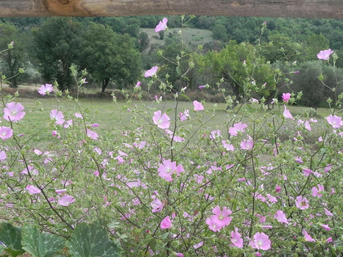 Agriturismo B&B Il Rifugio Di Nino Contursi Bagian luar foto